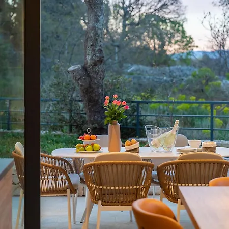 Вілла Luxury Soleia Brac With Private Pool *